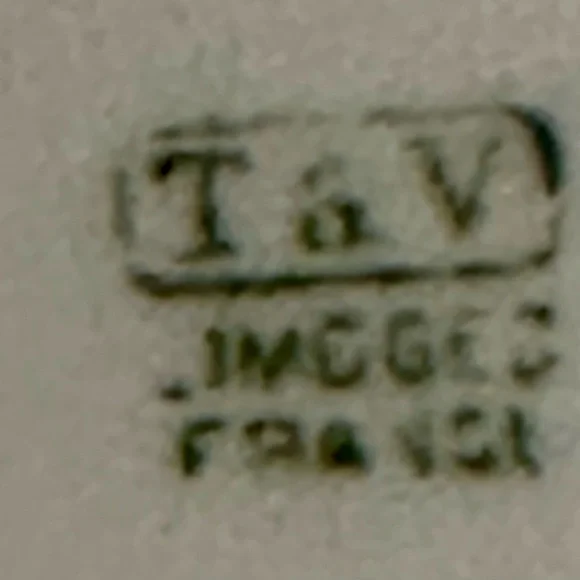 VINTAGE/ANTIQUE T&V LIMOGES FRANCE GOLD RIM WITH FLORAL PLATE - Picture 5 of 7